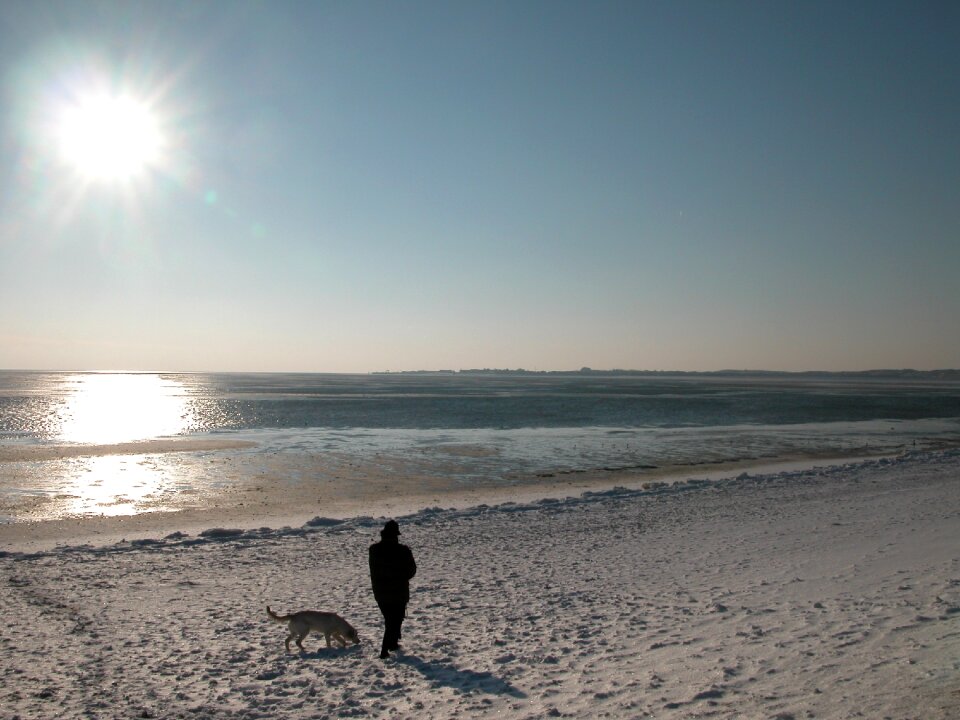Beach north sea sun