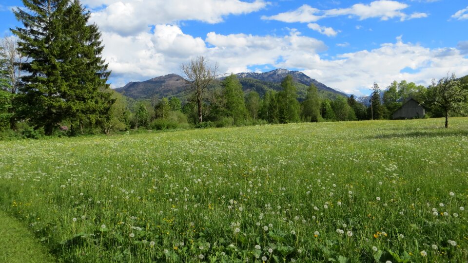 Sunshine landscape nature photo