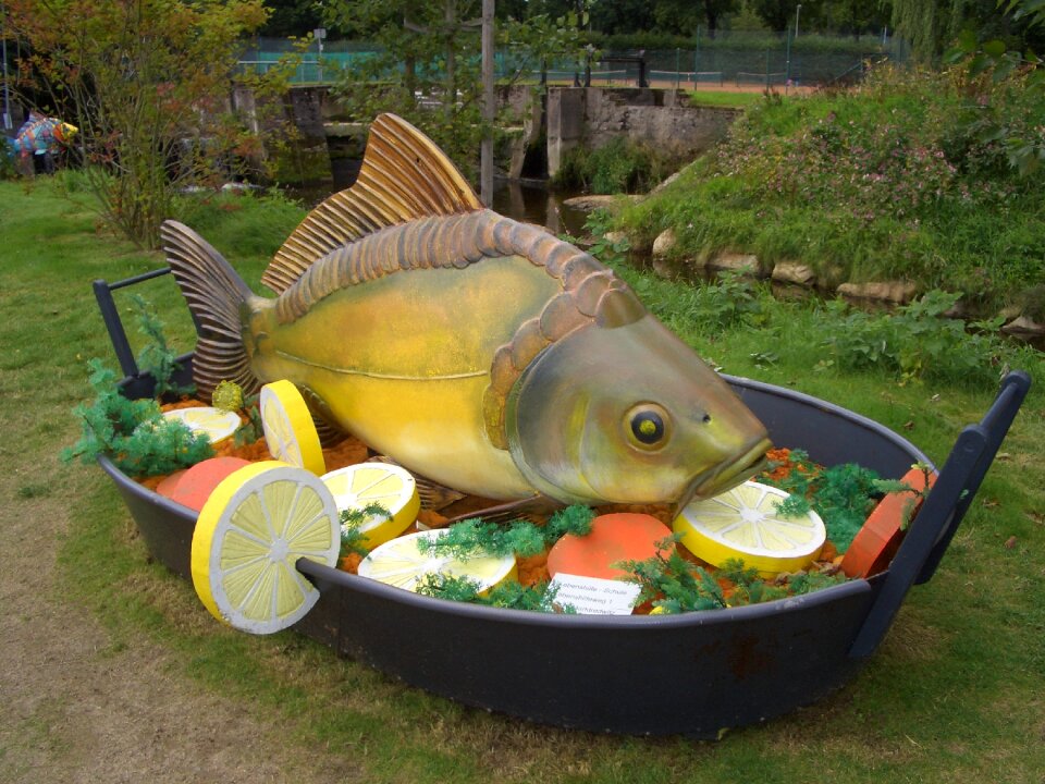 Garden show marktredwitz carp