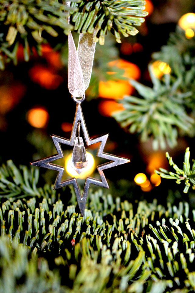 Decoration xmas celebration