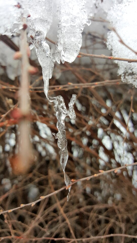 Cold winter crystal