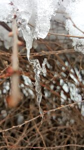 Cold winter crystal photo