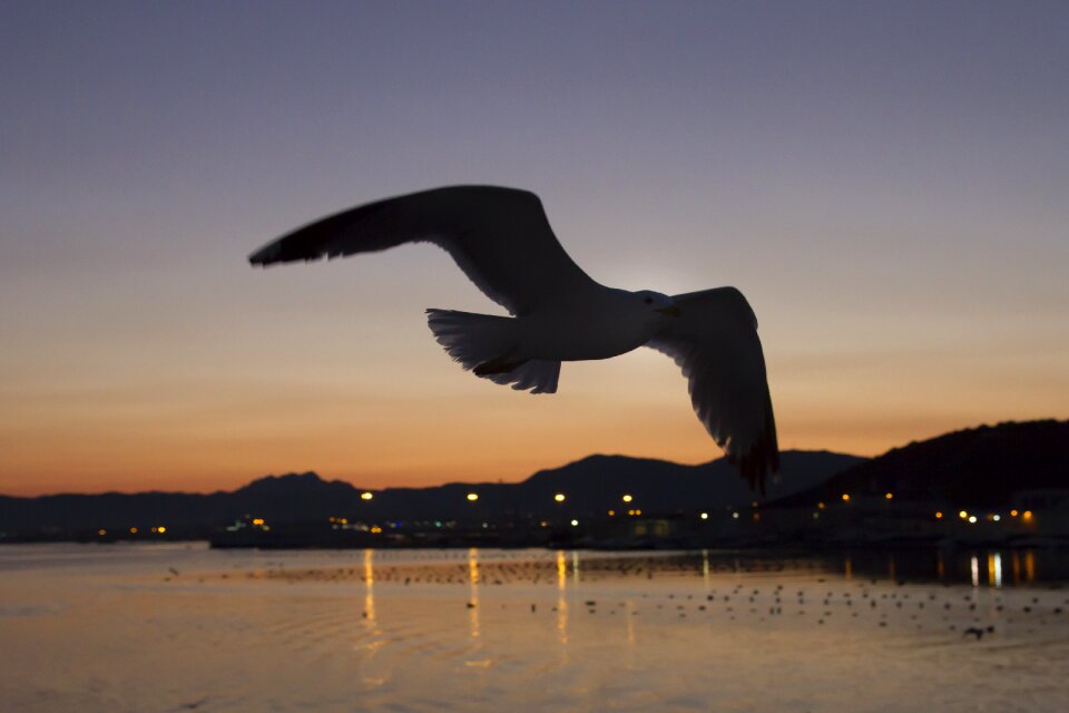 Olbia sardinia evening sky