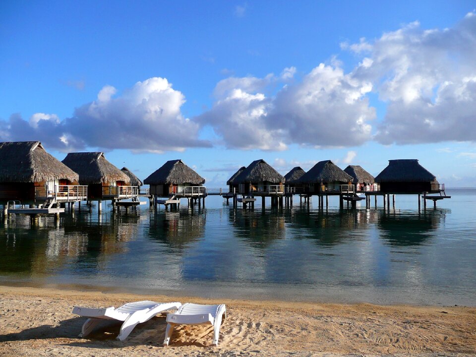 Tropical honeymoon exotic