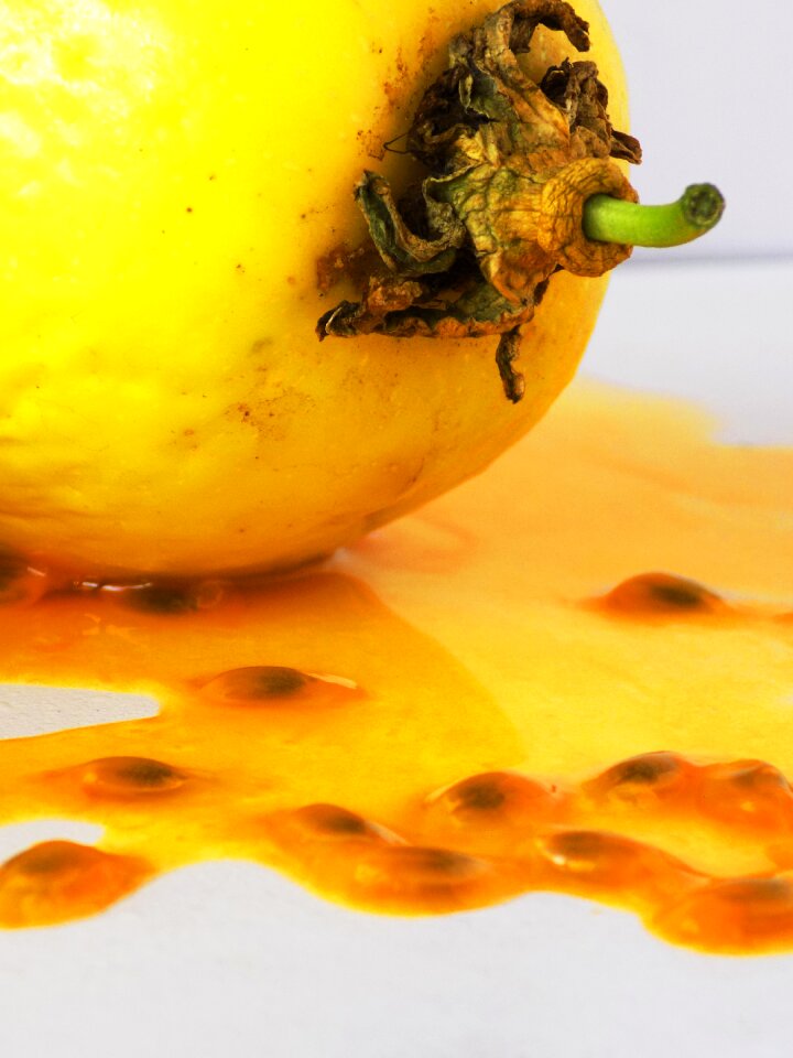 Passion tropical fruit passiflora edulis