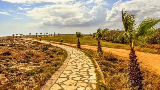 Nature spring landscape