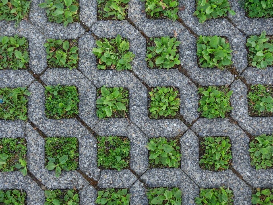 Concrete green grey