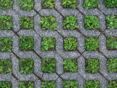 Concrete green grey