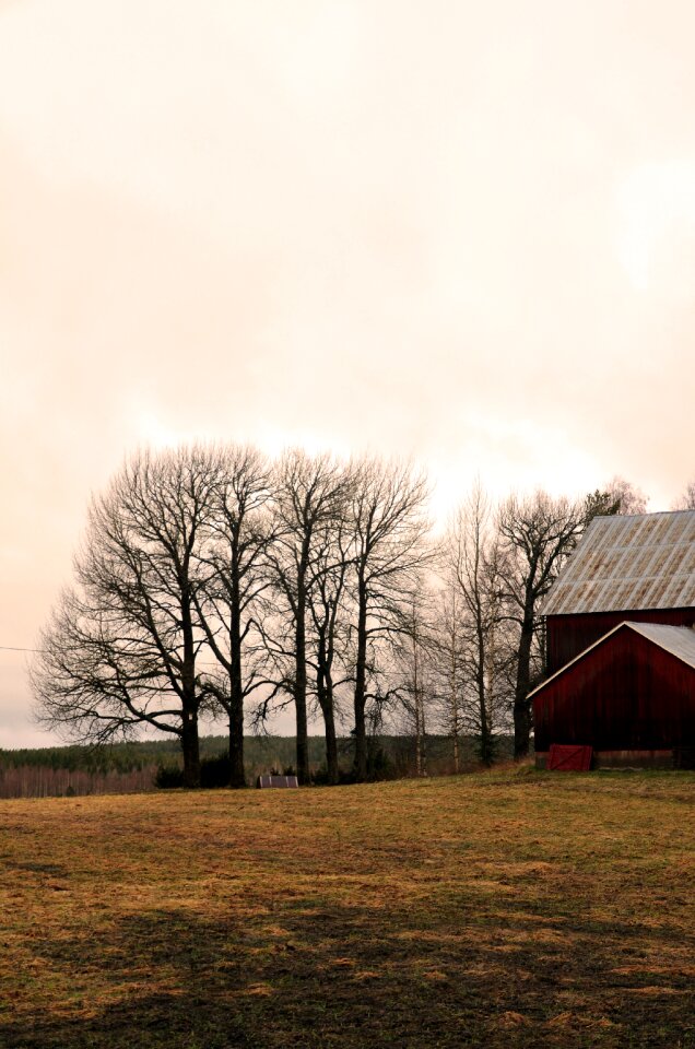 Barn nature beautifully