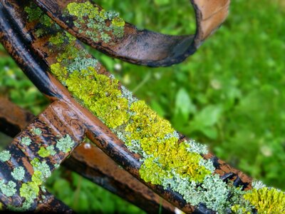 Weave rust fouling