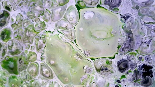 Vibrant green and white