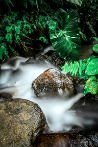 Water color slow speed leaf photo