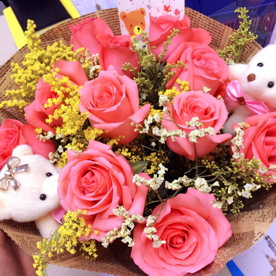 Valentine rose love