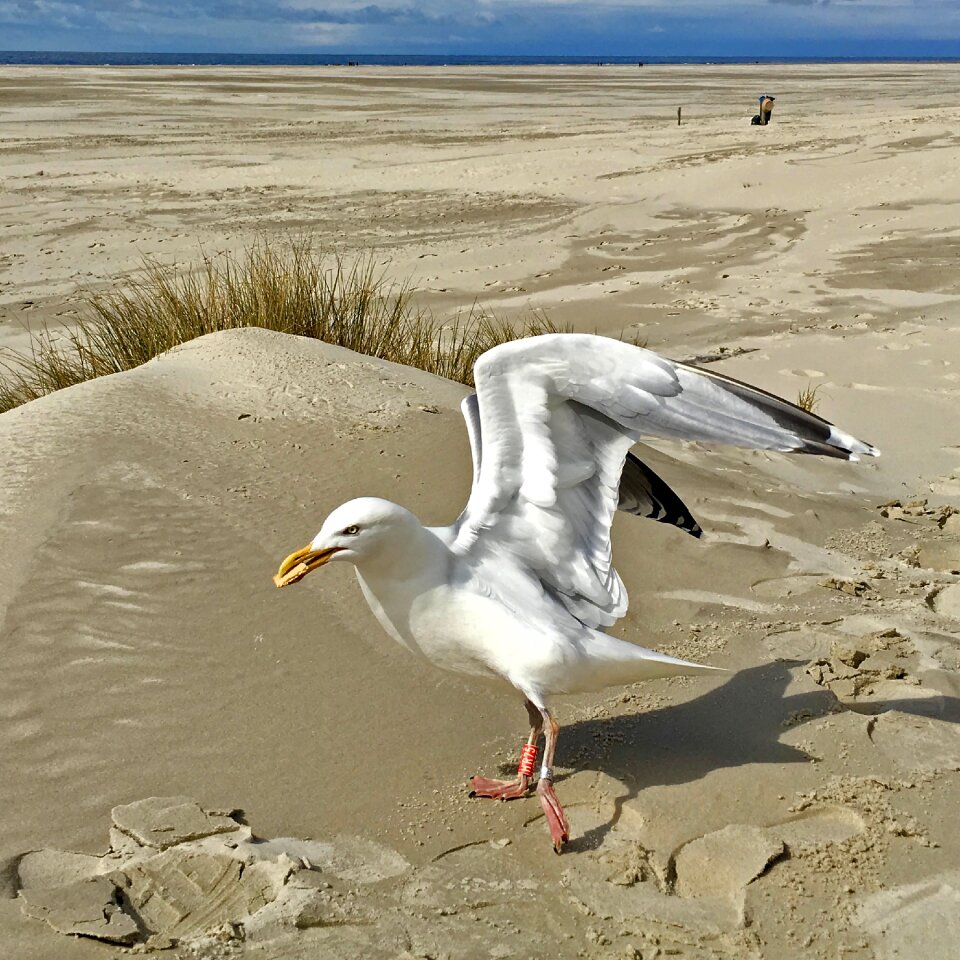 Sand coast by the sea