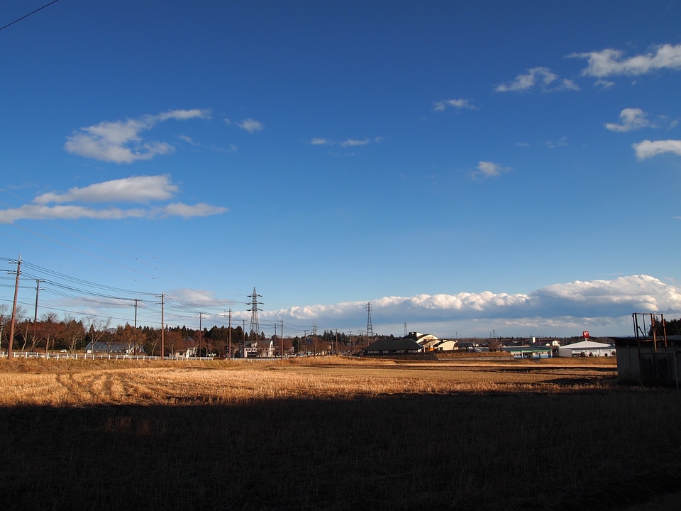 Blue sky paddy field landscape