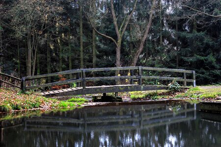 Web landscape wooden bridge