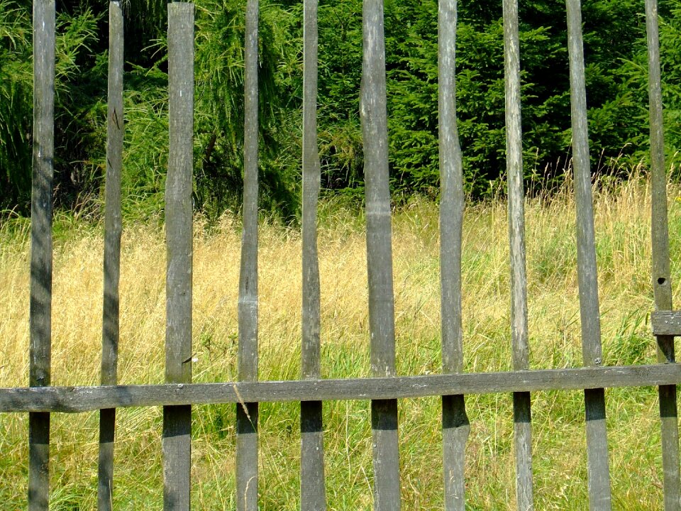 Fence planks view