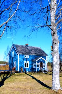 Shadow himmel birch