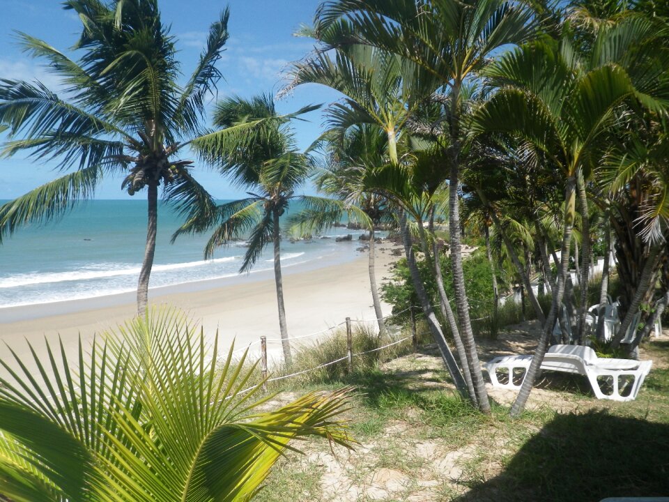 Sunny day natal