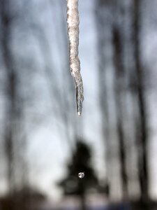 Icicle winter sweden photo