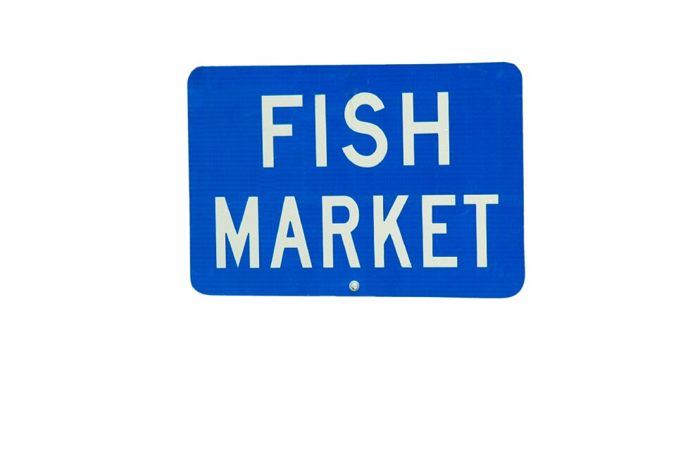 Fish for sale seafood