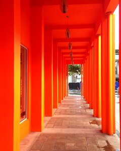 Miami design art
