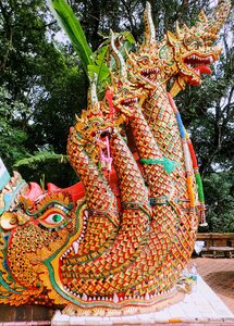 Asia thailand snake
