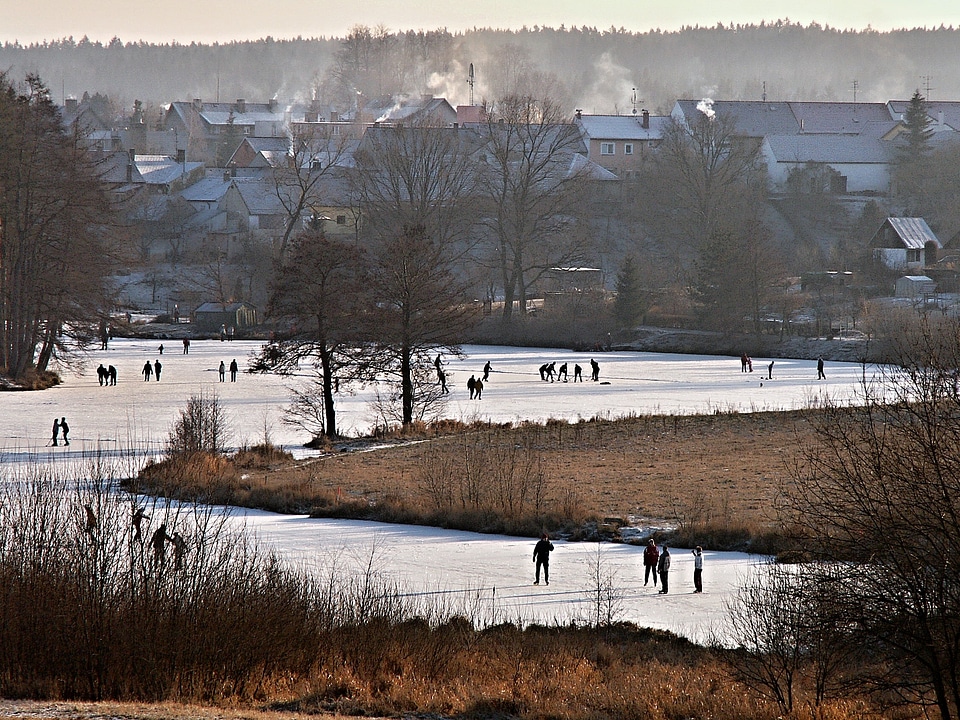 Skating hockey skaters