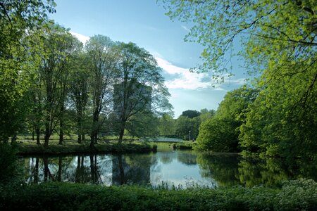 Landscape the silence green