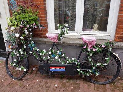 Flowers bicycle bike photo