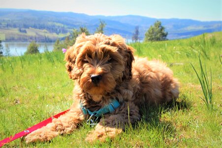 Cute columbia river gorge gorge
