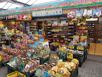 City flowers market