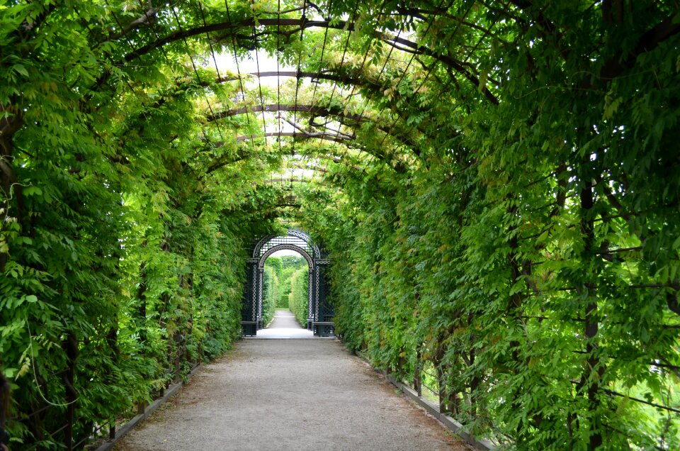 Natural summer design