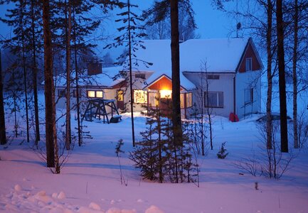 Lapland trees winter photo