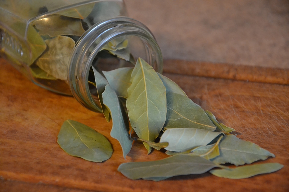 Kitchen spices plant
