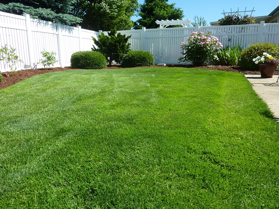 Nature outside lawn