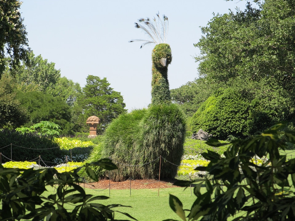 Decoration whimsy whimsical
