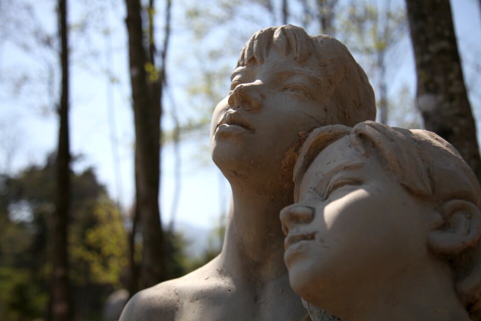 Art gallery model garden