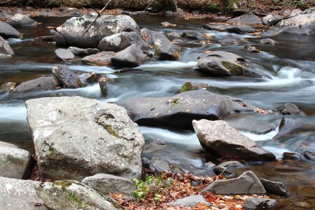 Rock riverbed nature