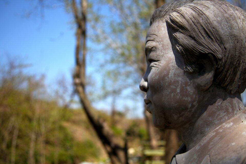 Art gallery model garden