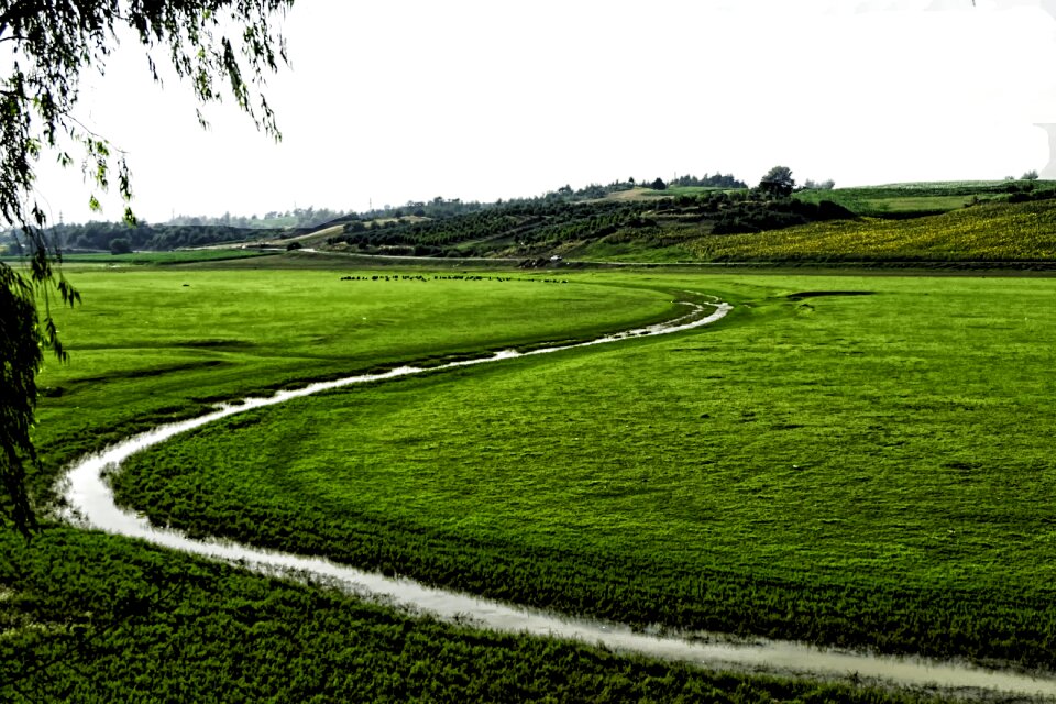 Landscape green jpeg