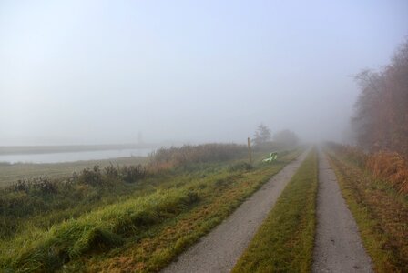 Dutch landscape pasture nature photo