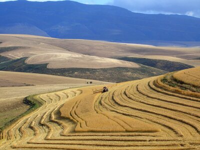 Tractor farm