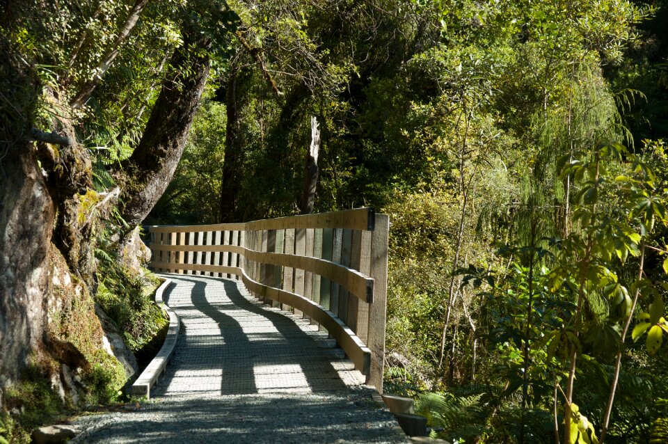 Nature sun new zealand