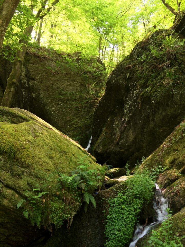 Rock water canyon