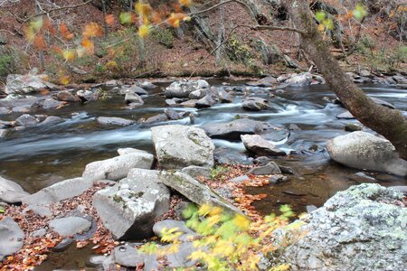 Riverbed nature photo