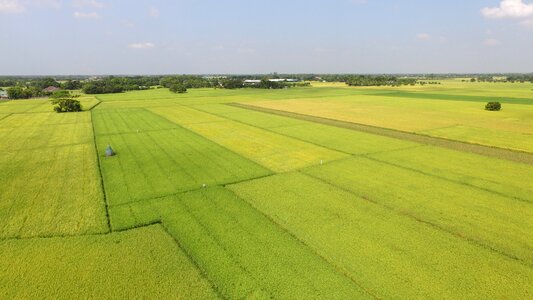 Green field aerial