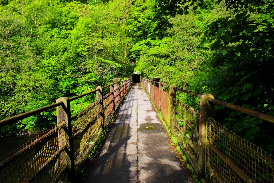 Landscape wooden travel