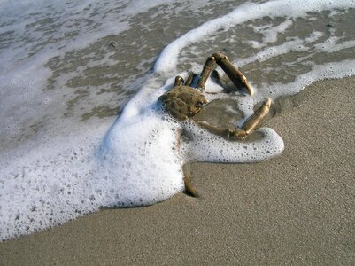 New york cancer sea photo