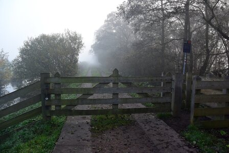Grass mist air